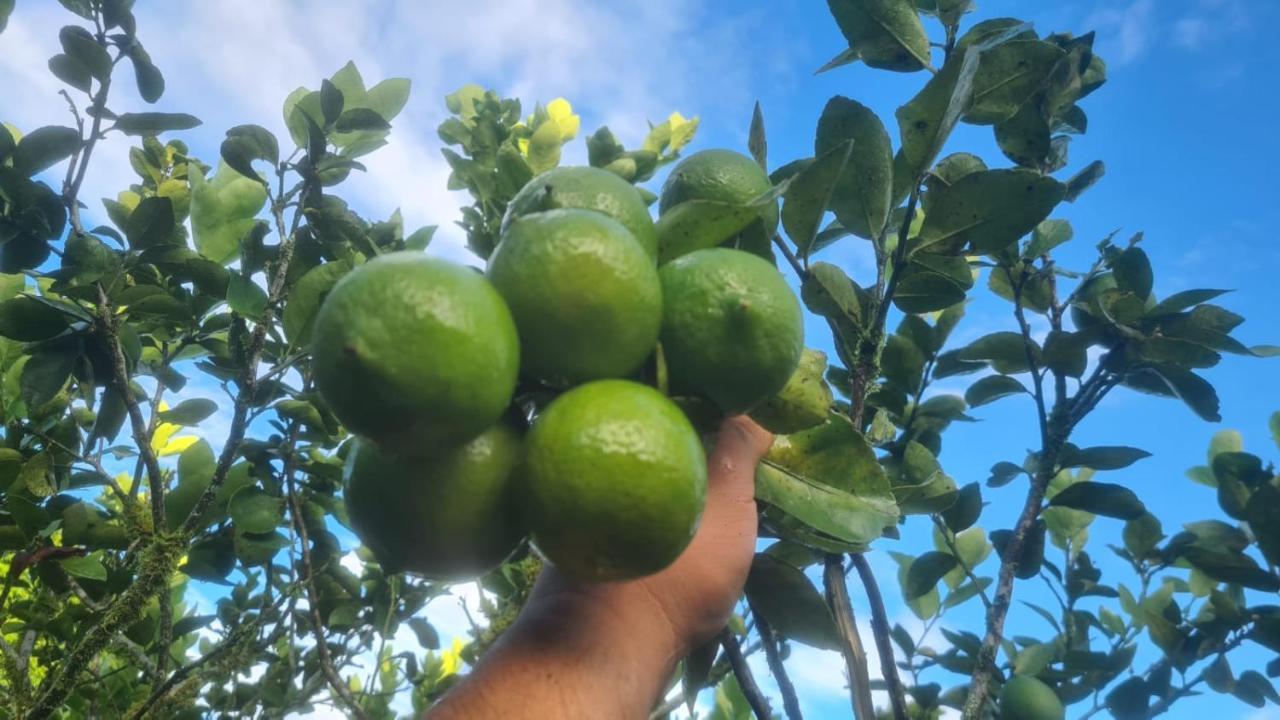 Hospedaje Finca Agroturistica Dona Rufa Rio Sereno Exterior foto